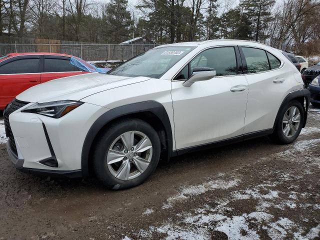 2019 LEXUS UX 200 2019 image