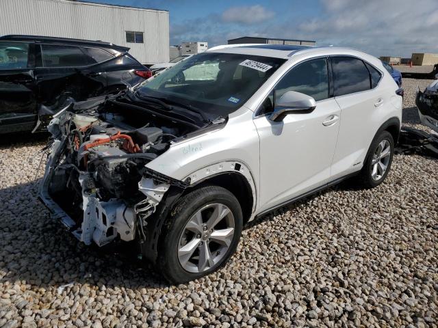 2017 LEXUS NX 300H 2017 image