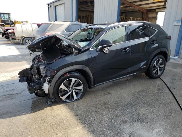 Image 1 of 2018 LEXUS NX 300H 2018 with VIN JTJBJRBZ3J2087384