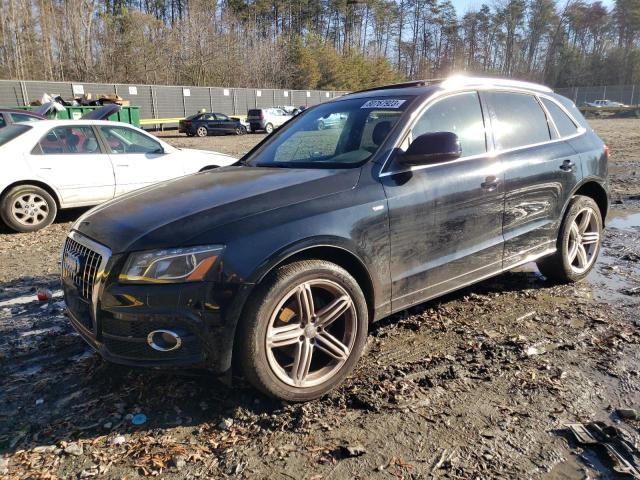2010 AUDI Q5 PREMIUM PLUS 2010 image