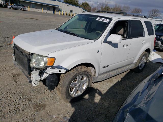 Image 1 of 2008 FORD ESCAPE HEV 2008 with VIN 1FMCU59H88KC66353