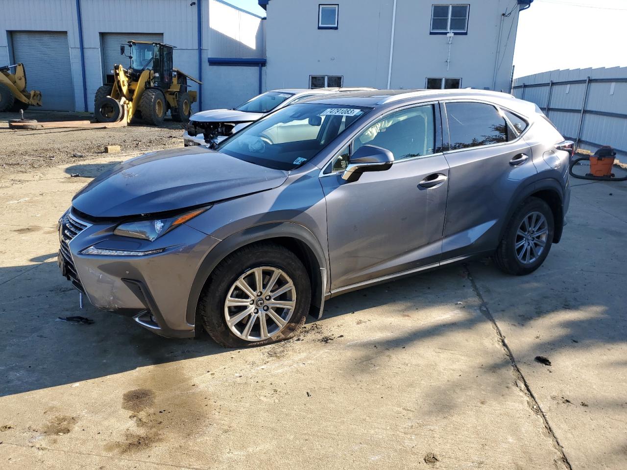Obraz 2020 LEXUS NX 300 2020