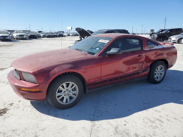 Image 1 of 2005 FORD MUSTANG  2005 with VIN 1ZVFT80N255109742