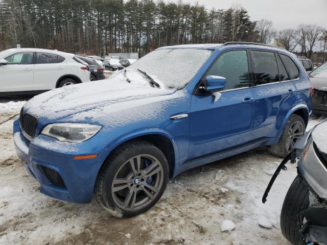 Obraz 2013 BMW X5 M 2013