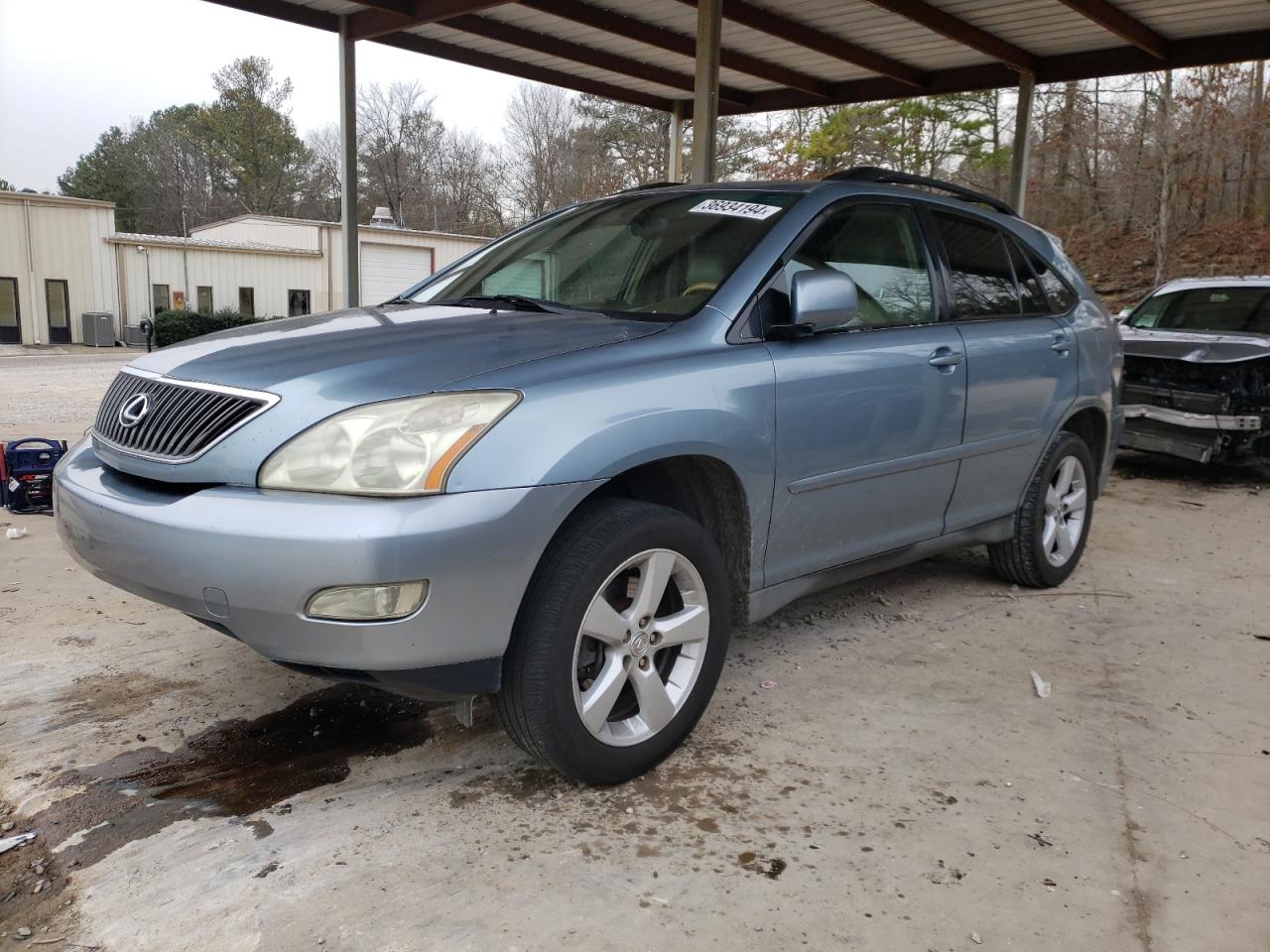 Obraz 2006 LEXUS RX 330 2006
