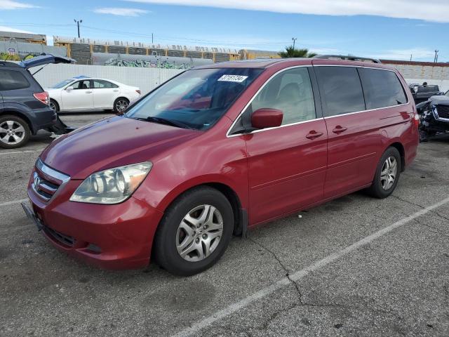 2005 HONDA ODYSSEY EXL 2005 image