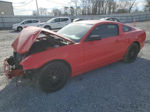 Obraz 1 z 2014 FORD MUSTANG  2014 z VIN 1ZVBP8AM5E5216678