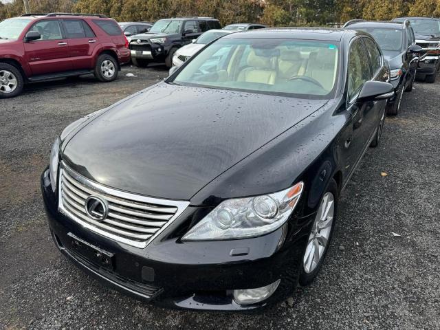 2012 LEXUS LS 460 2012 image
