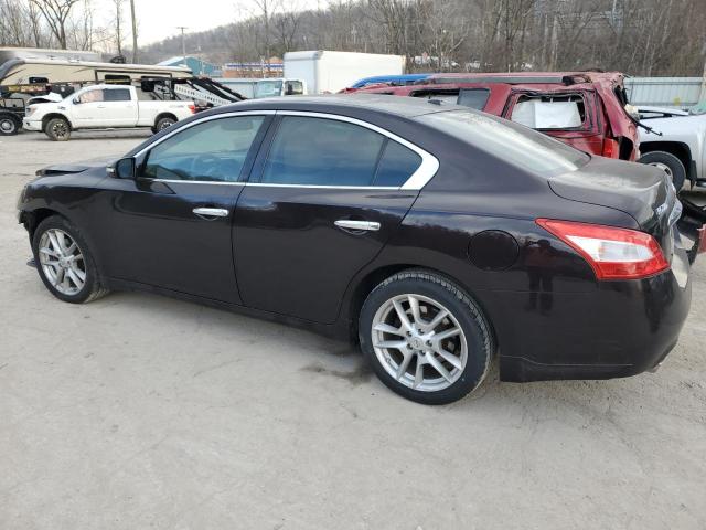 Image 2 of 2010 NISSAN MAXIMA S 2010 with VIN 1N4AA5AP3AC840225