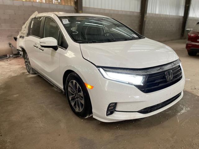 2023 HONDA ODYSSEY EXL 2023 image