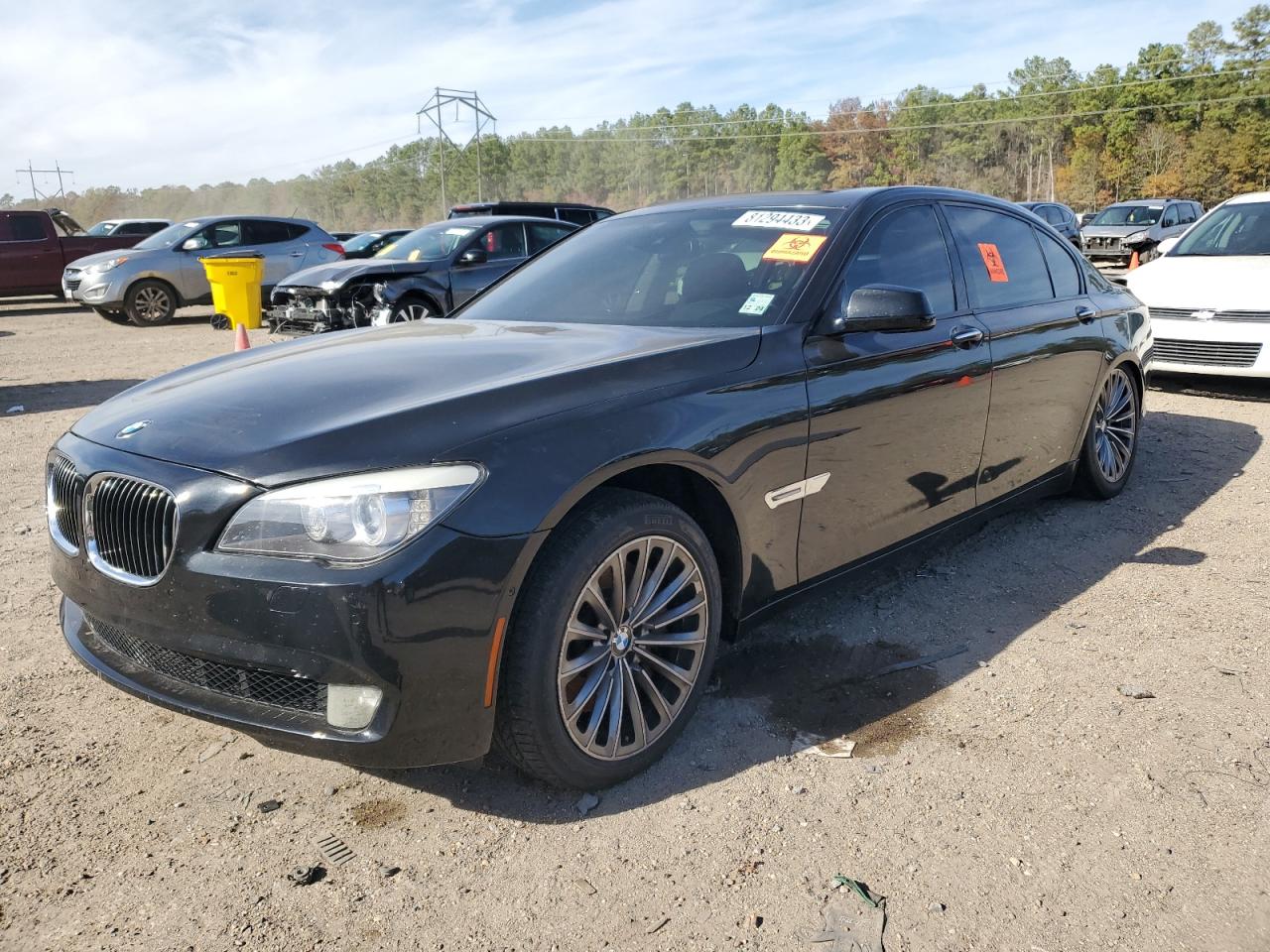 2011 BMW 750 LI 2011 image