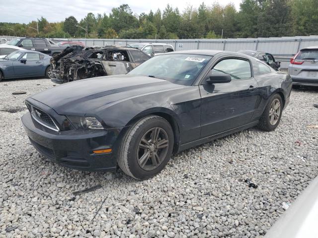 2014 FORD MUSTANG  2014 image