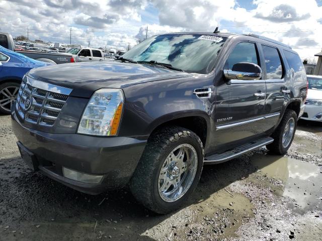 2010 CADILLAC ESCALADE LUXURY 2010 image
