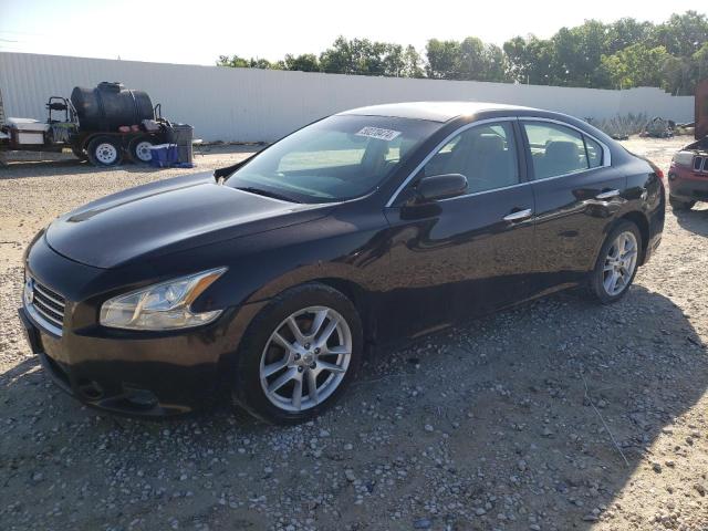2010 NISSAN MAXIMA S 2010 image