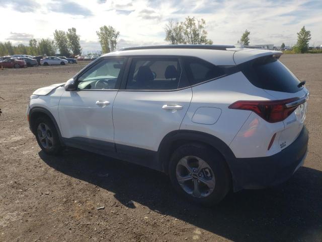 Obraz 2 z 2023 KIA SELTOS LX 2023 z VIN KNDEP2AA7P7450167