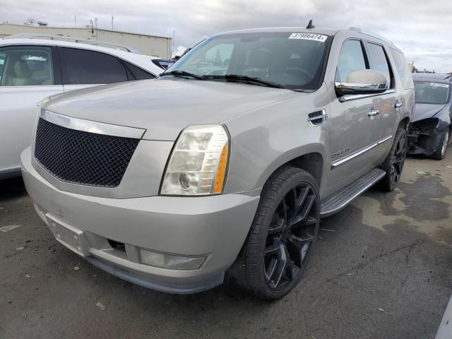 2007 CADILLAC ESCALADE LUXURY 2007 image