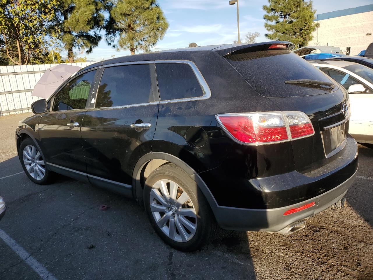 Image 2 of 2010 MAZDA CX-9  2010 with VIN JM3TB3MV7A0217150