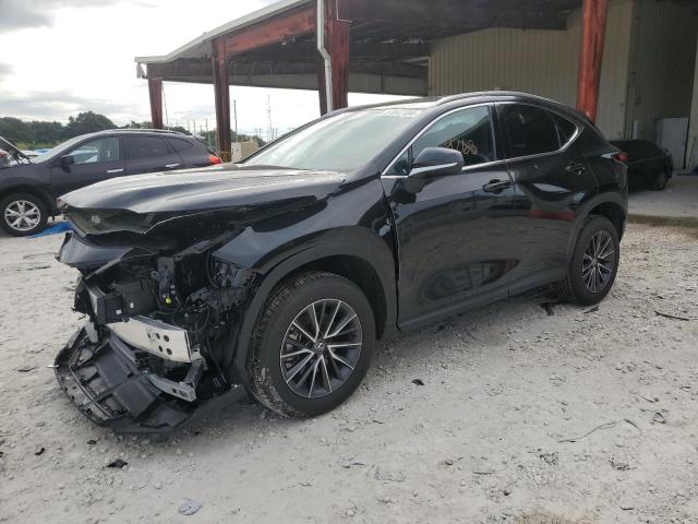 2024 LEXUS NX 250 PREMIUM 2024 image