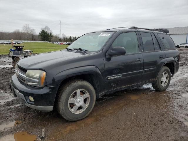 Изображение 1 2003 CHEVROLET TRAILBLAZER  2003 с VIN 1GNDT13S432333510