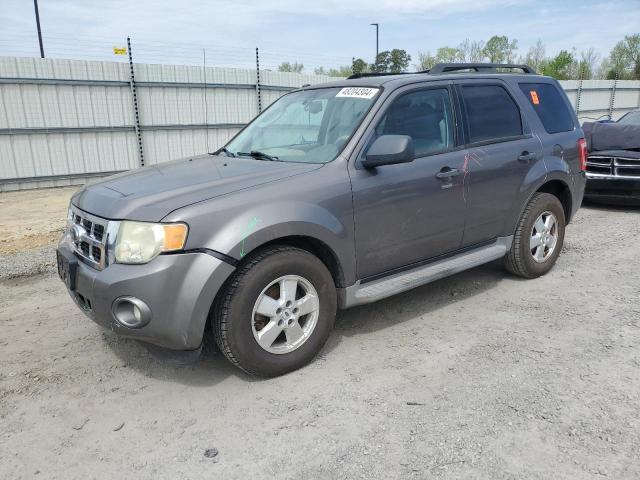 Image 1 of 2009 FORD ESCAPE XLT 2009 with VIN 1FMCU03G89KD15099