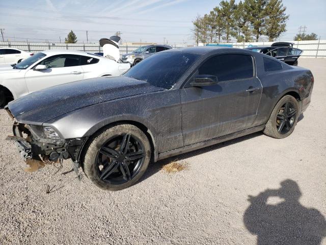 Изображение 1 2013 FORD MUSTANG  2013 с VIN 1ZVBP8AM8D5252900