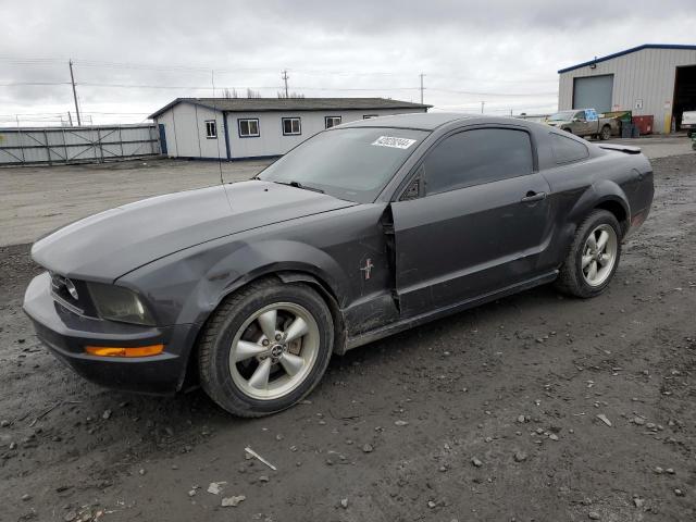 2007 FORD MUSTANG  2007 image