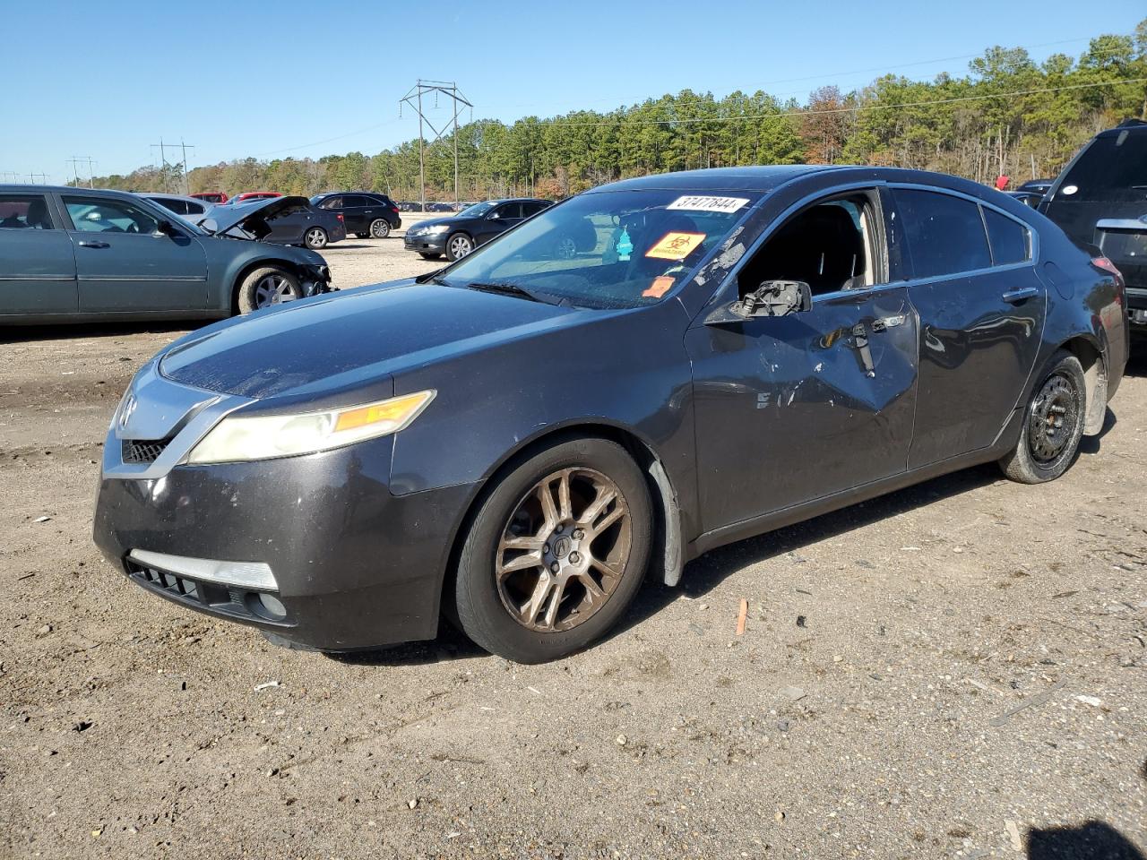 Obraz 2009 ACURA TL  2009