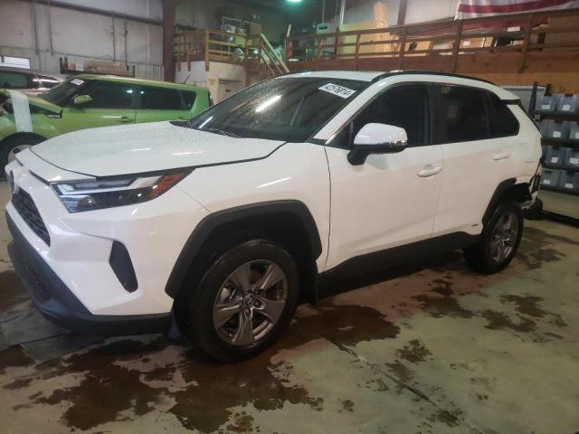 2024 TOYOTA RAV4 XLE 2024 image