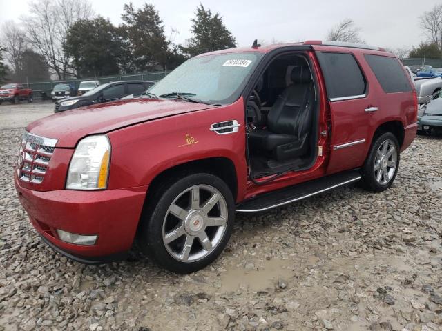 Obraz 2012 CADILLAC ESCALADE LUXURY 2012
