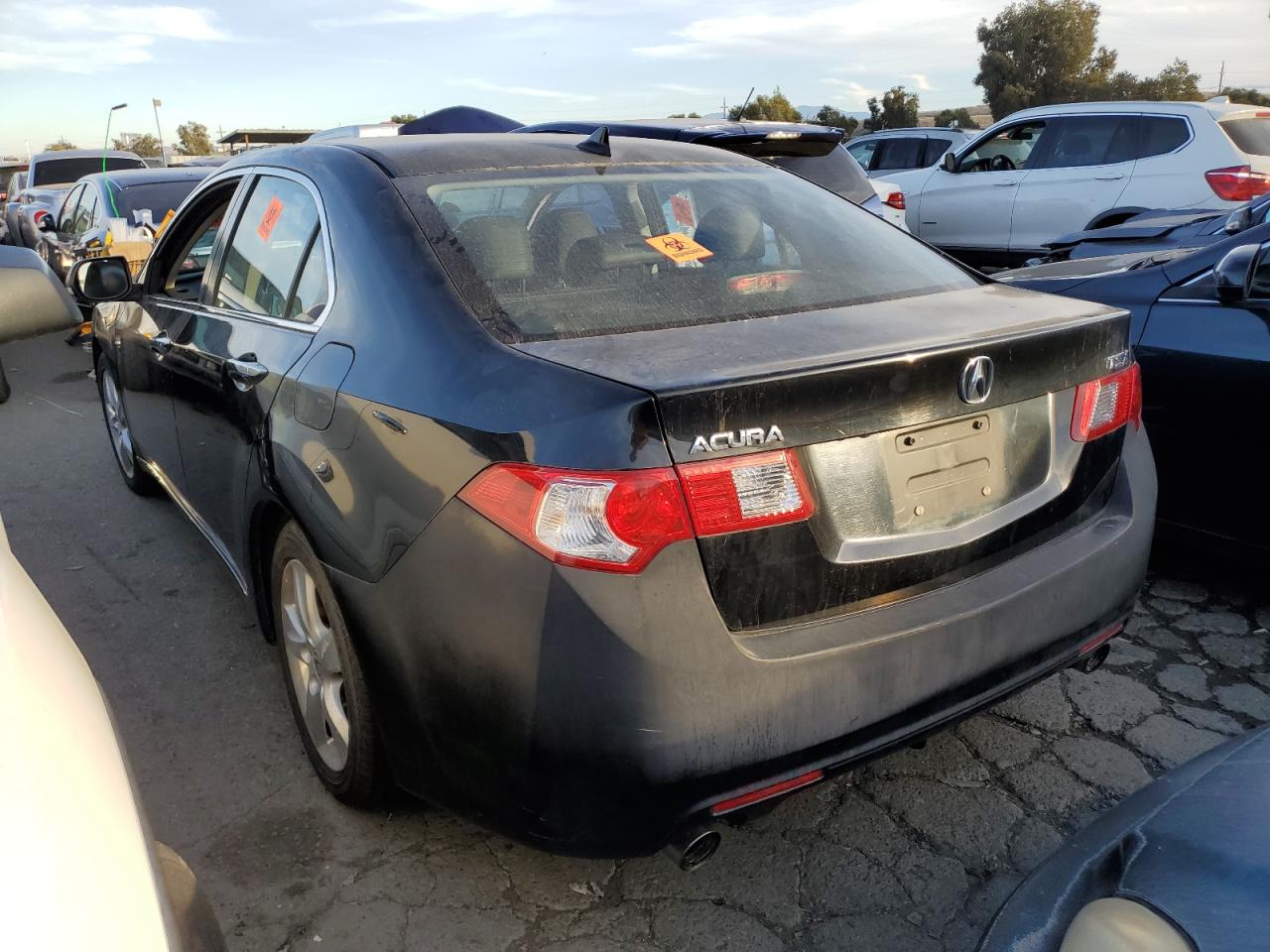 Obraz 2 z 2009 ACURA TSX  2009 z VIN JH4CU26609C032854