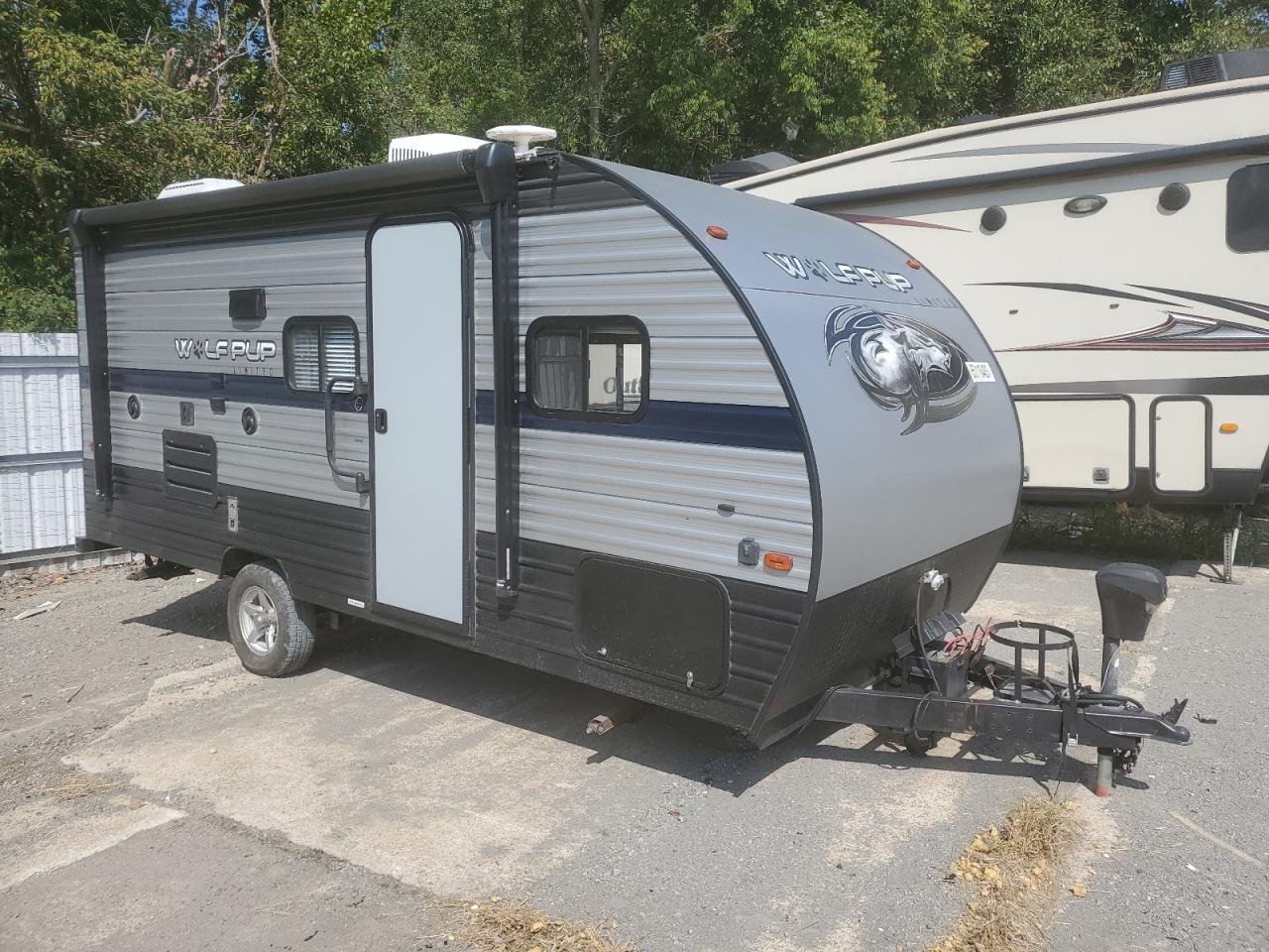 2019 CHER WOLF PUP S 2019 image