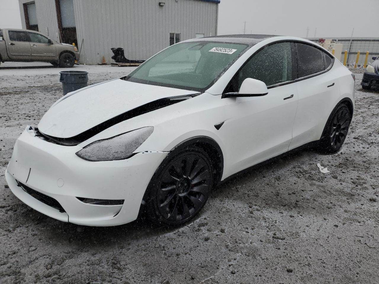 2021 TESLA MODEL Y  2021 image