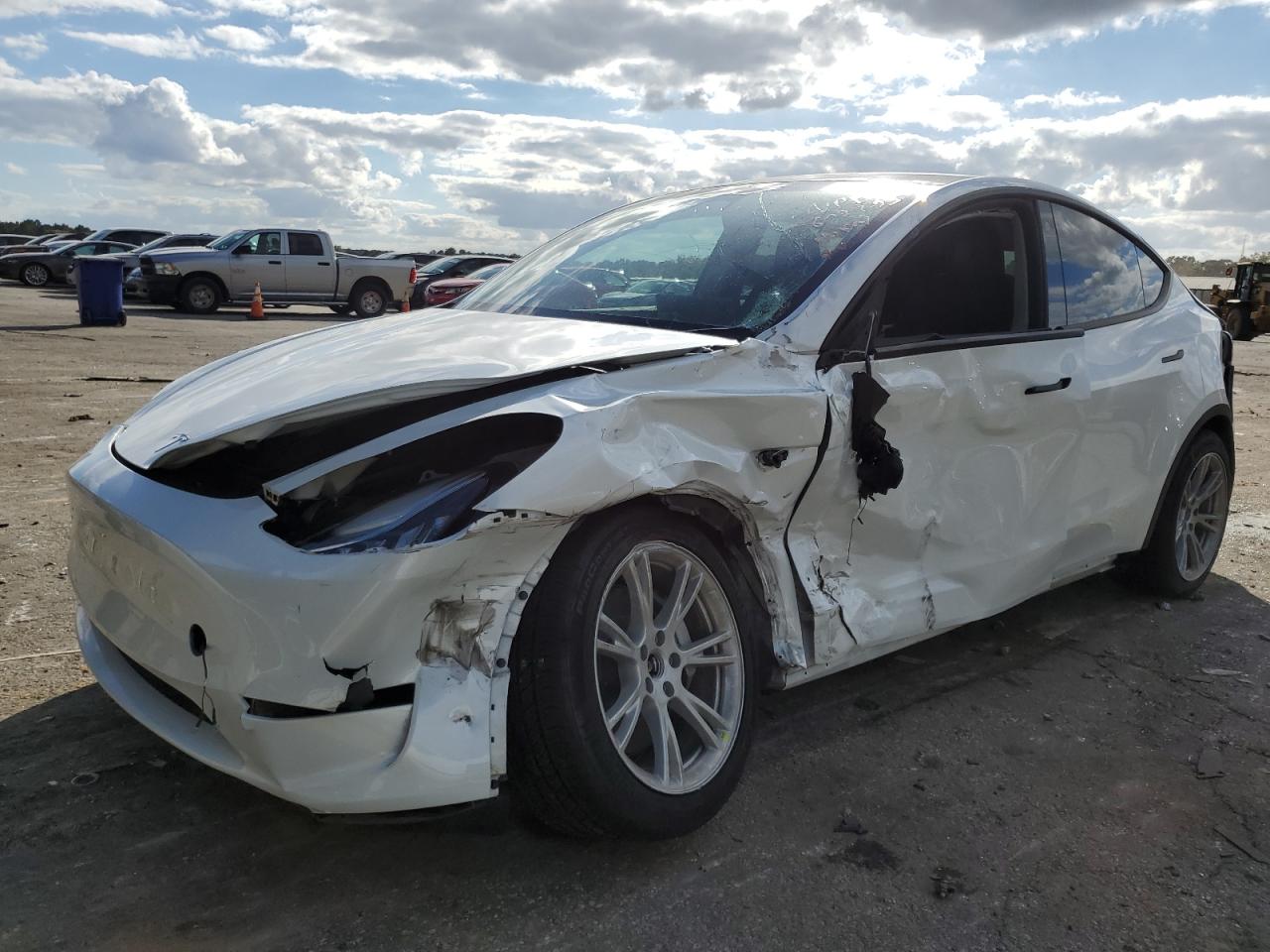 2023 TESLA MODEL Y  2023 image