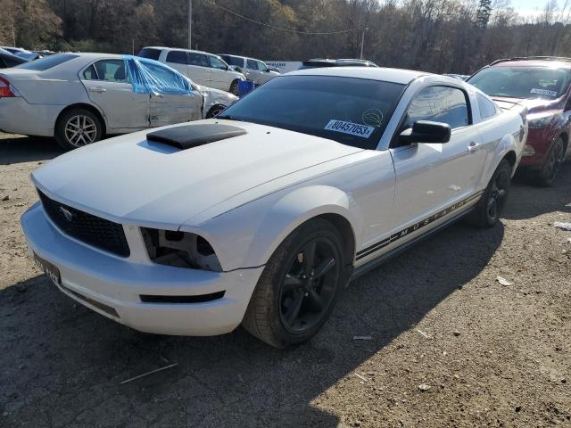 2006 FORD MUSTANG  2006 image