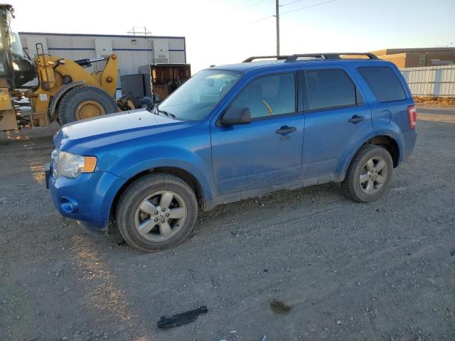 Image 1 of 2011 FORD ESCAPE XLT 2011 with VIN 1FMCU9DG5BKC23425