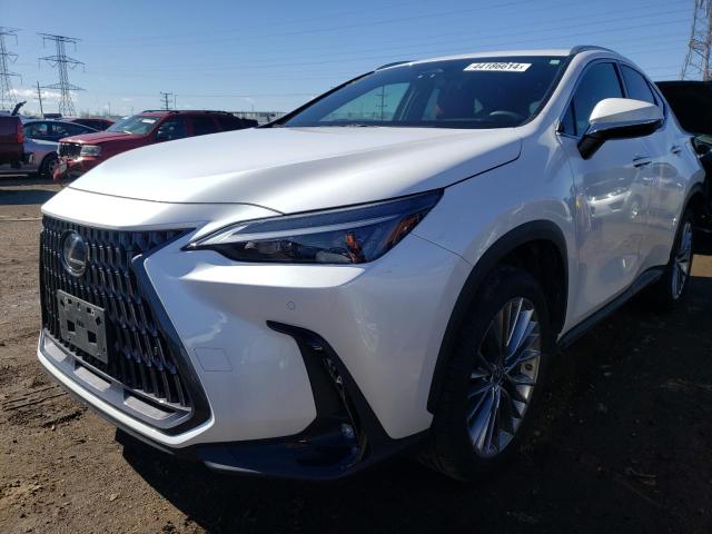 2022 LEXUS NX 350H 2022 image