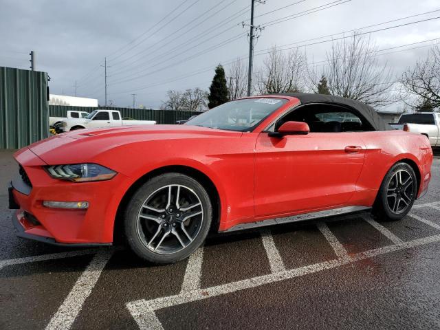 2019 FORD MUSTANG  2019 image