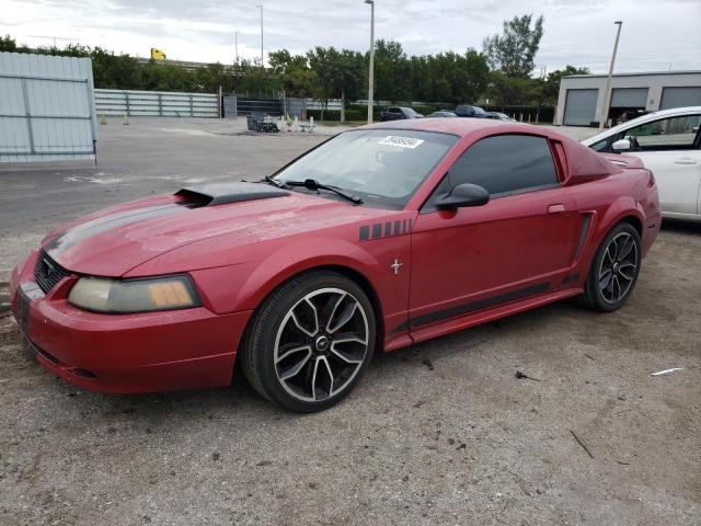 2000 FORD MUSTANG  2000 image