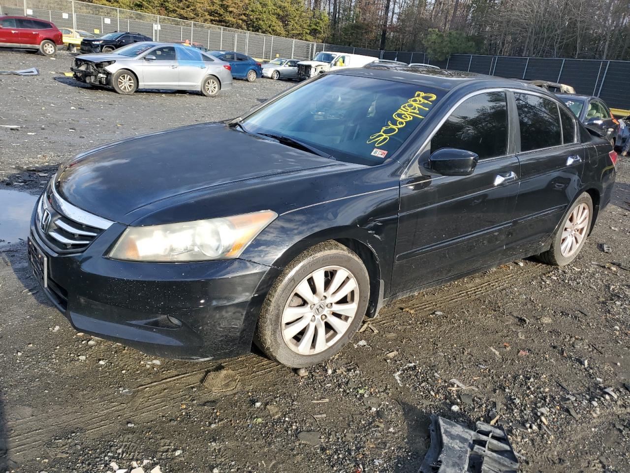 Изображение 1 2011 HONDA ACCORD EXL 2011 с VIN 5KBCP3F8XBB003372