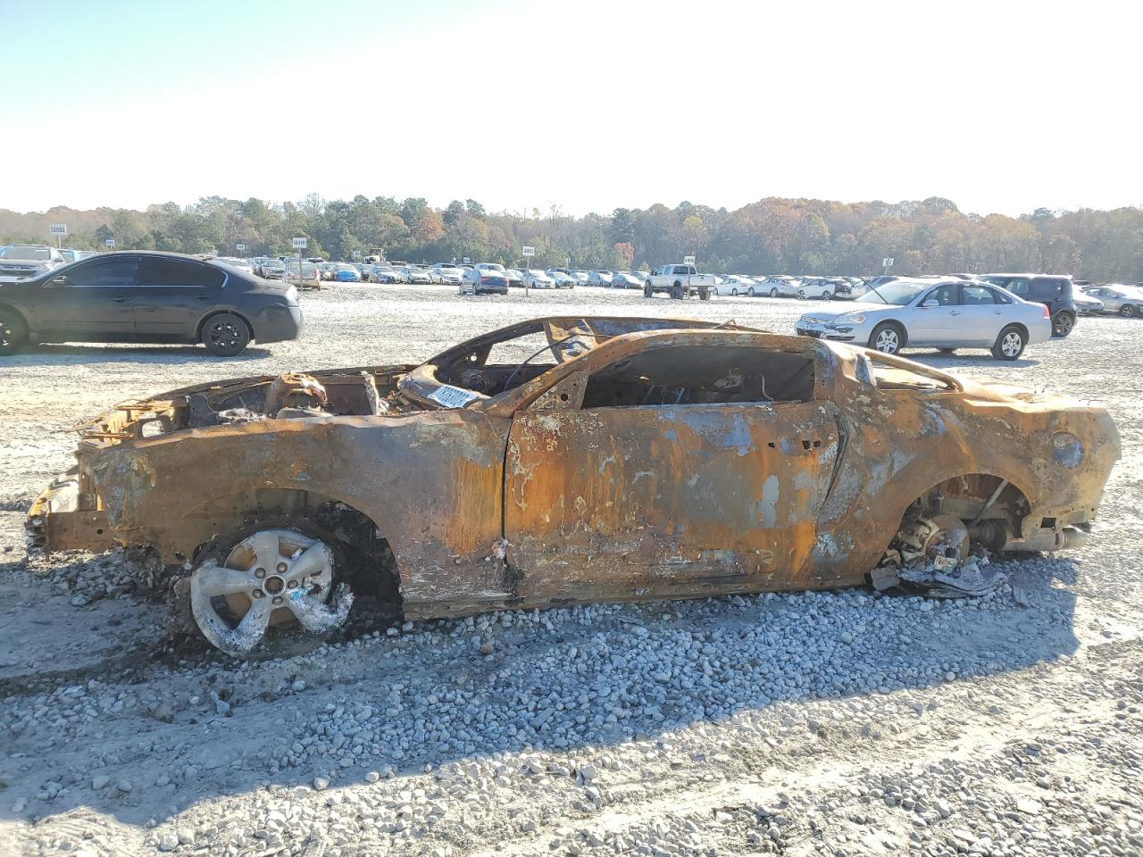 2005 FORD MUSTANG GT 2005 image
