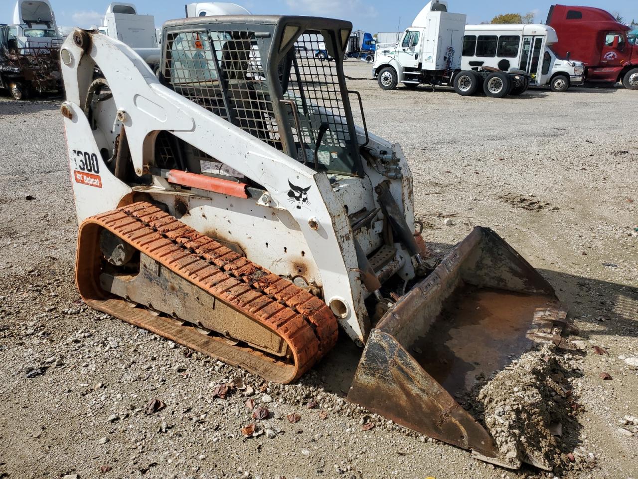 Obraz 2008 BOBCAT T300 2008