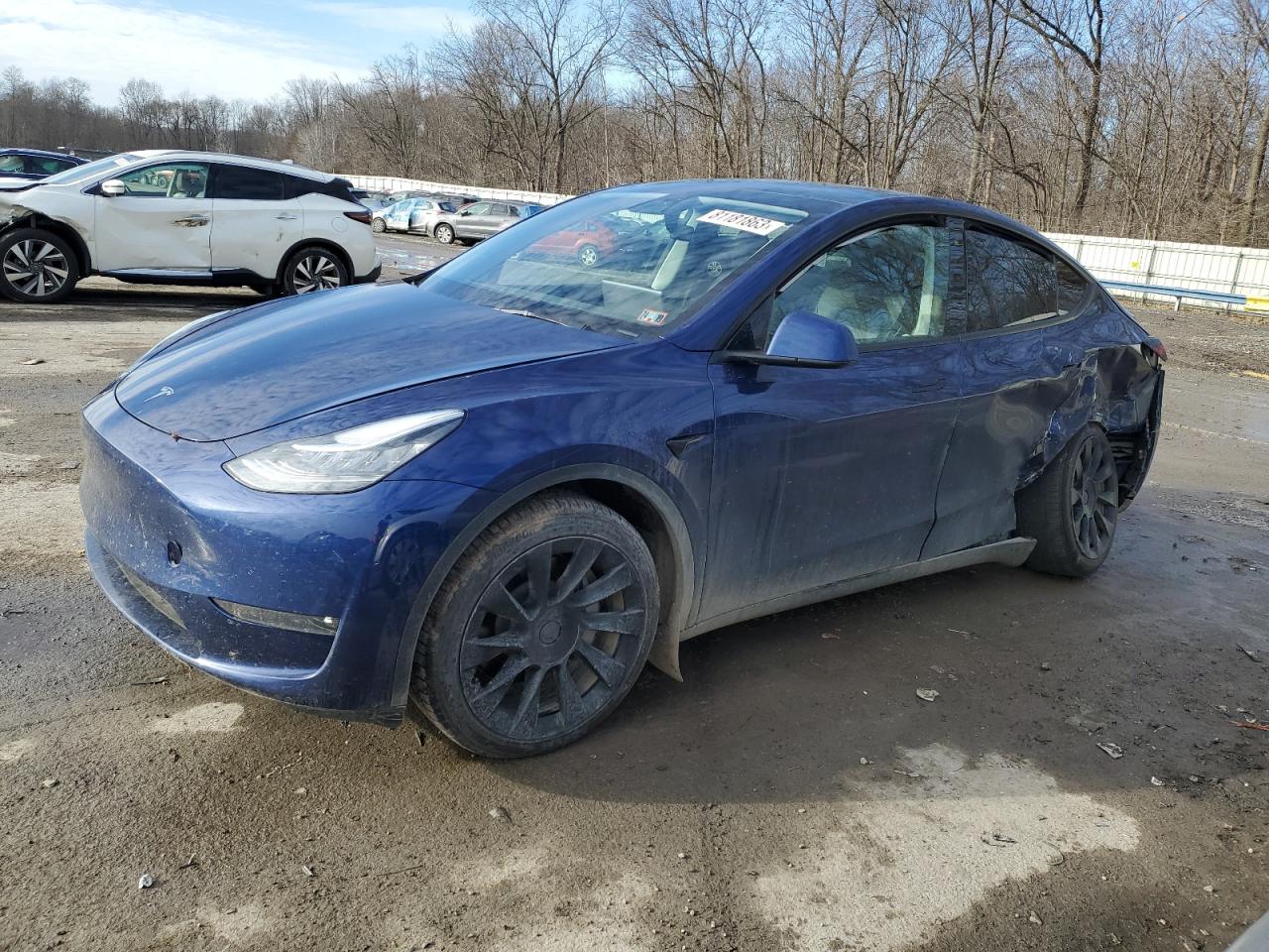 2021 TESLA MODEL Y  2021 image