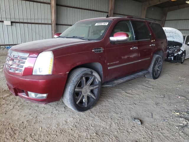 Obraz 2009 CADILLAC ESCALADE  2009