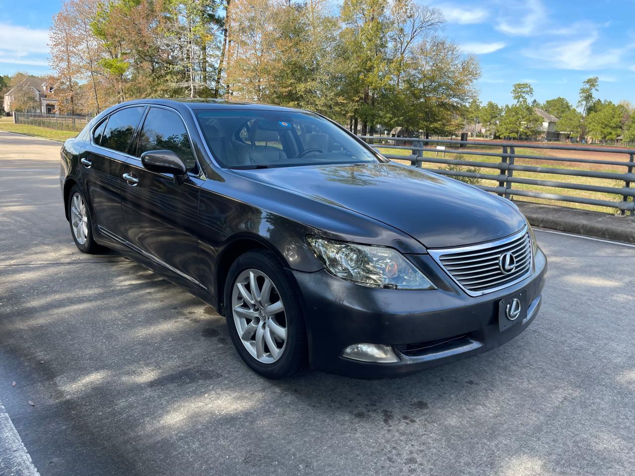 2008 LEXUS LS 460 2008 image