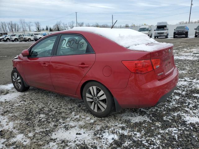 Obraz 2 z 2013 KIA FORTE EX 2013 z VIN KNAFU4A21D5728387