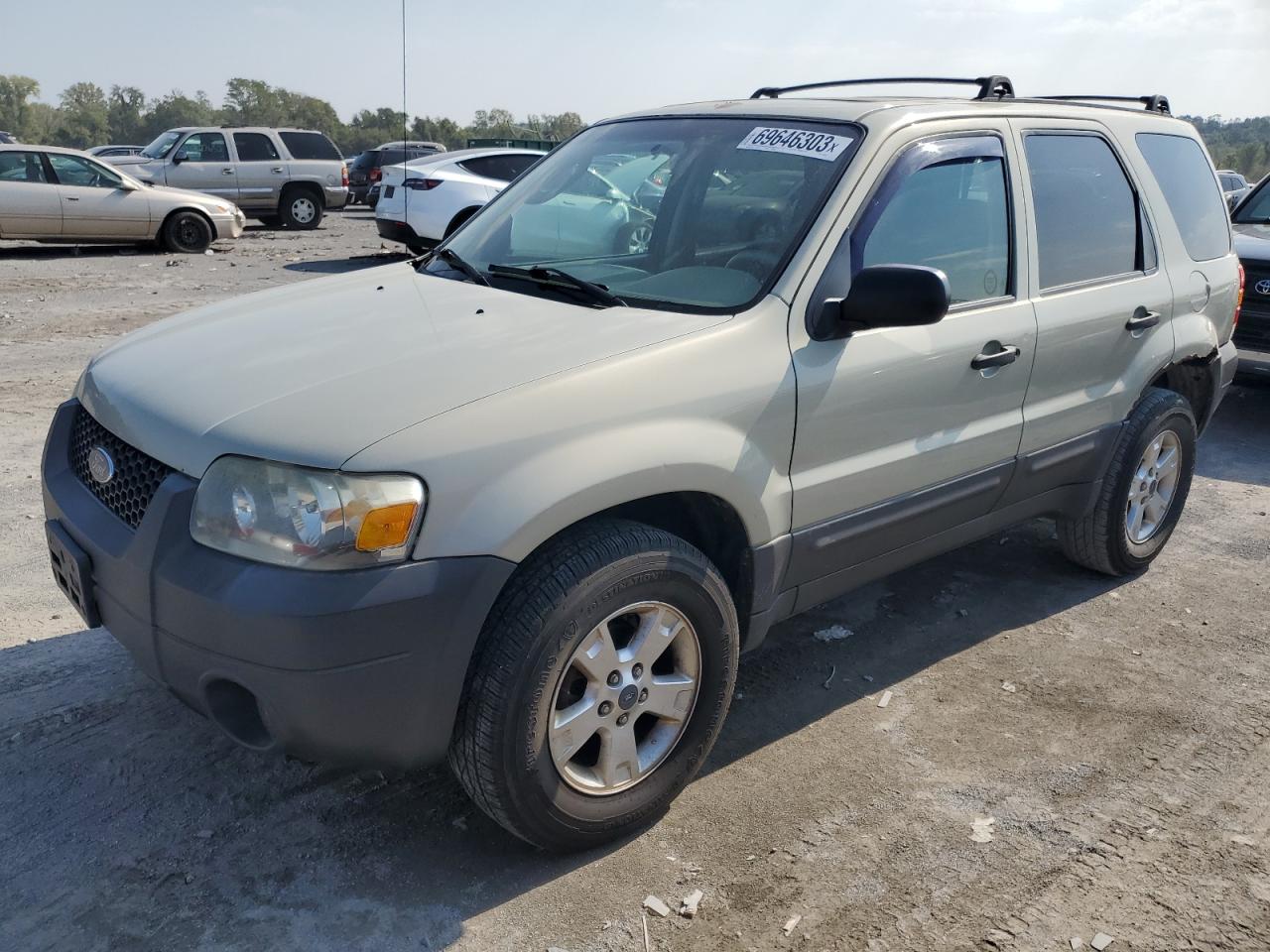 2006 FORD ESCAPE XLT 2006 image