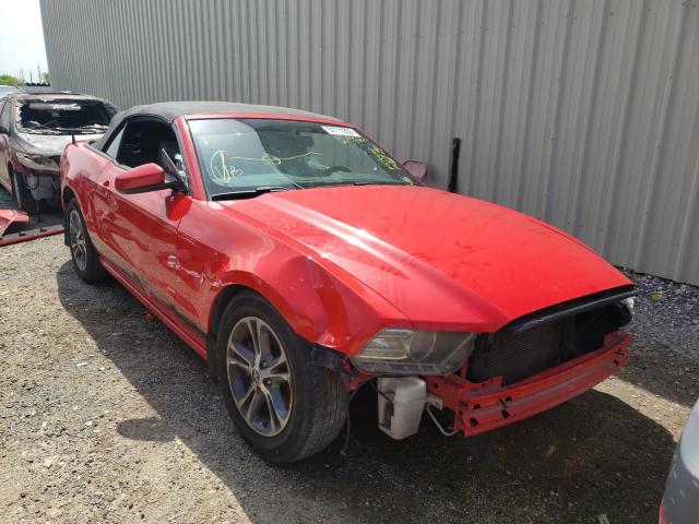 2014 FORD MUSTANG  2014 image