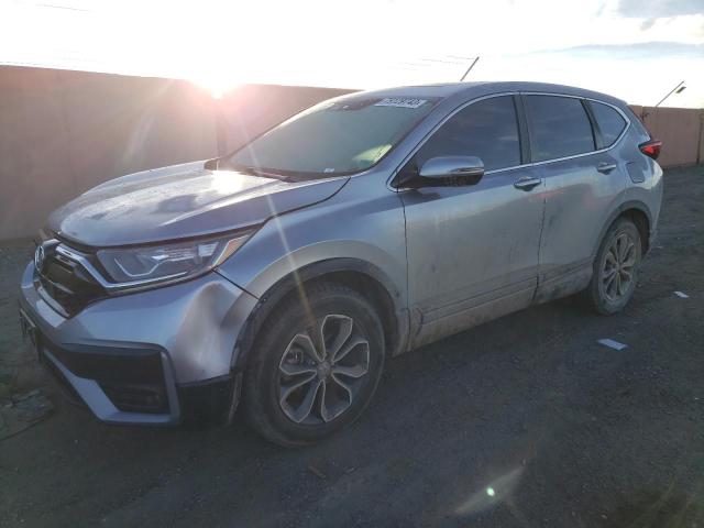 2020 HONDA CR-V EX 2020 image