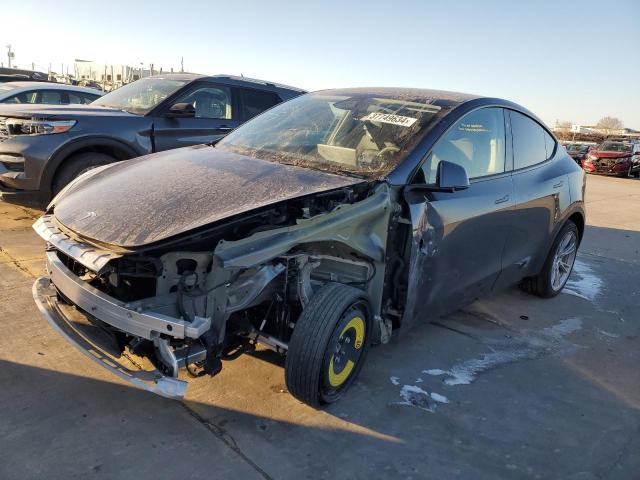 2023 TESLA MODEL Y  2023 image