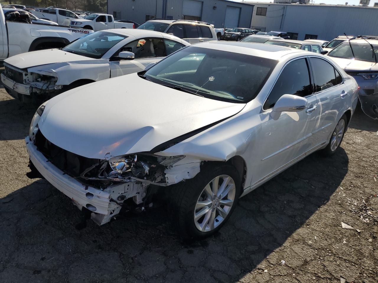 Obraz 2010 LEXUS ES 350 2010